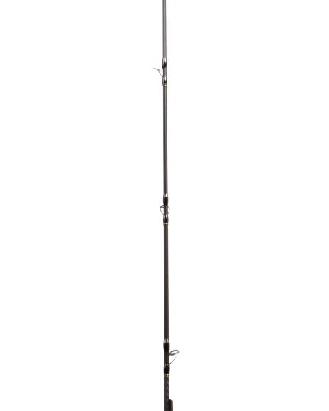 Falkor Atlas 2