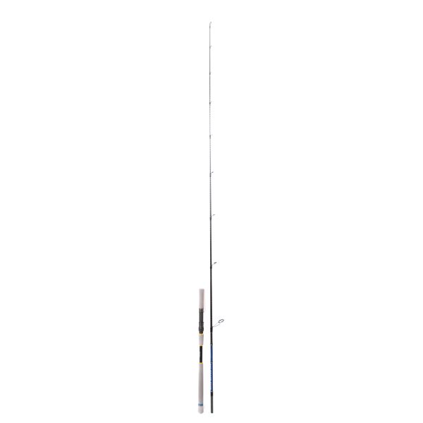falkor blue blood 240cm