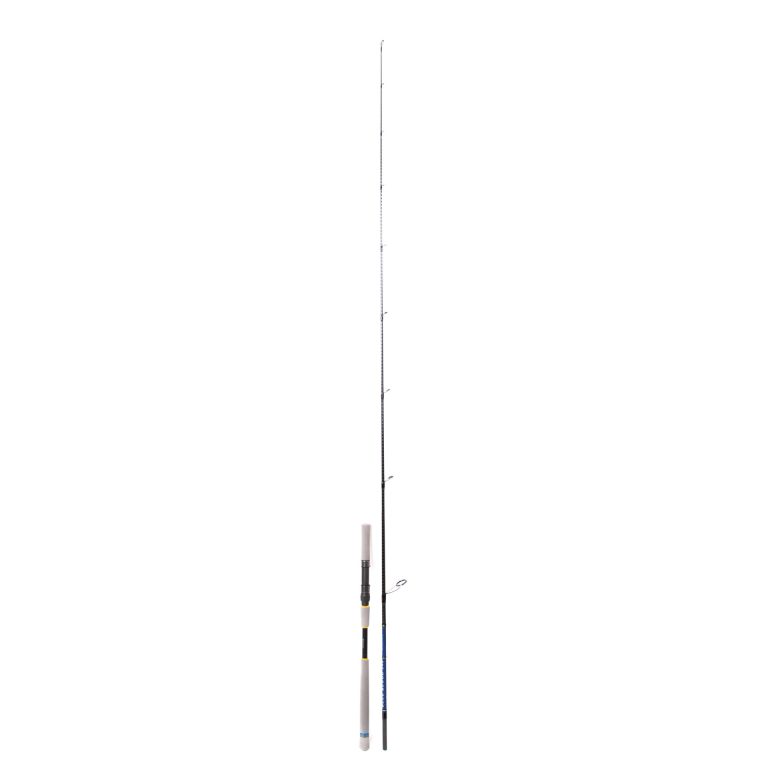 falkor blue blood 240cm