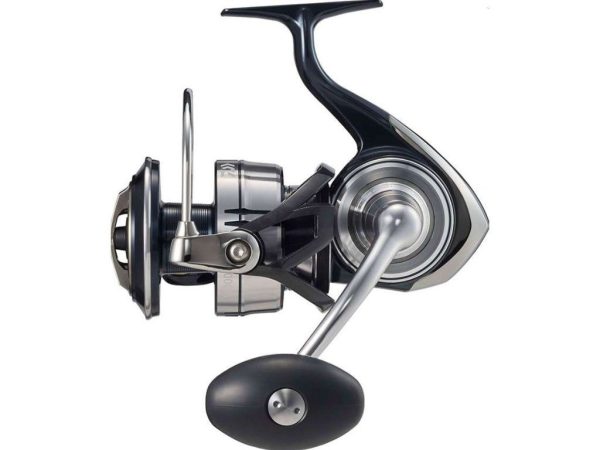 certate 21 sw 8000h