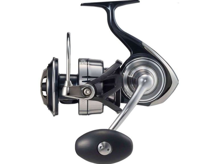 certate 21 sw 8000h